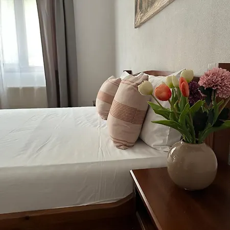 Triibria טריגראד