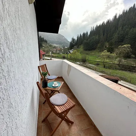 Triibria טריגראד