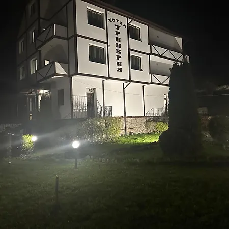 Casa de hóspedes Triibria