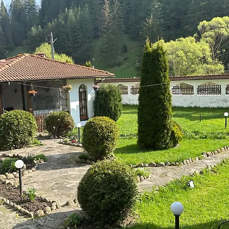 Triibria * טריגראד