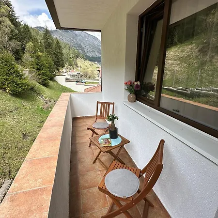 Triibria * טריגראד