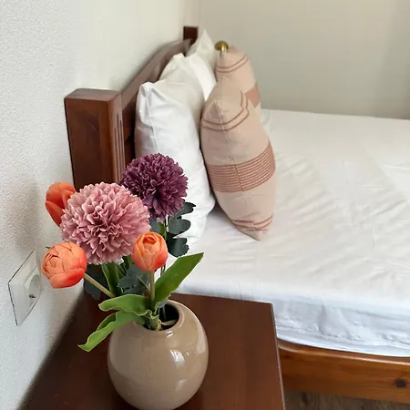 Triibria בית הארחה