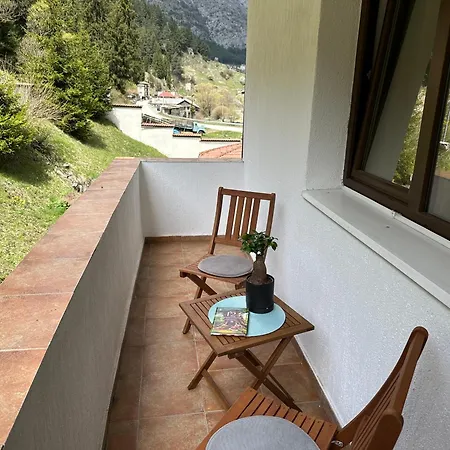 בית הארחה Triibria