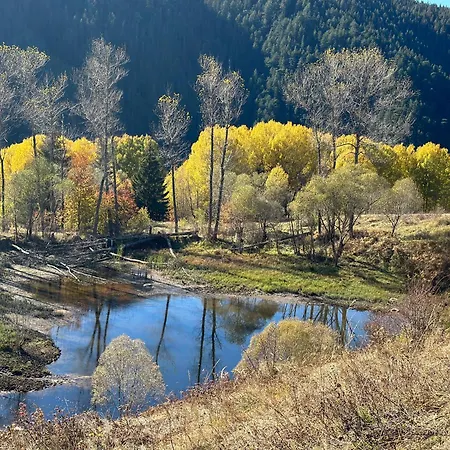 Triibria