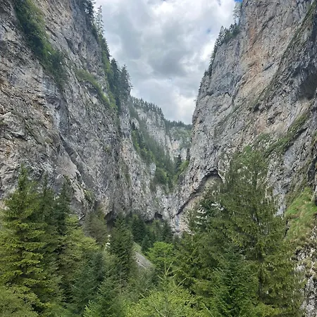 Triibria Trigrad
