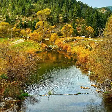 Pensiune Triibria Trigrad