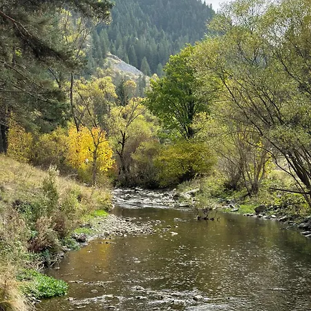 Triibria בית הארחה